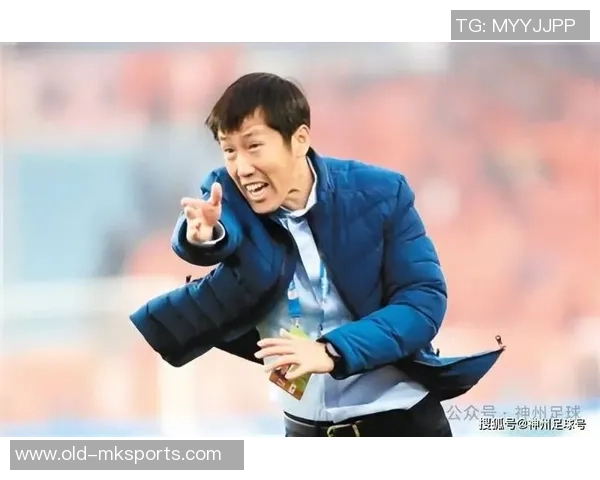 足球英雄71：重燃激情的绿茵传奇与梦想追逐的青春岁月